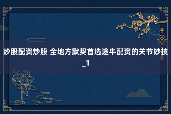 炒股配资炒股 全地方默契首选途牛配资的关节妙技_1