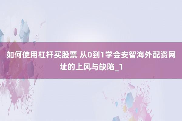 如何使用杠杆买股票 从0到1学会安智海外配资网址的上风与缺陷_1