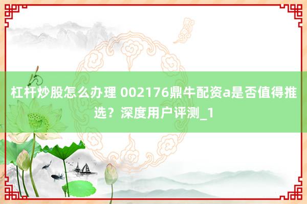 杠杆炒股怎么办理 002176鼎牛配资a是否值得推选？深度用户评测_1